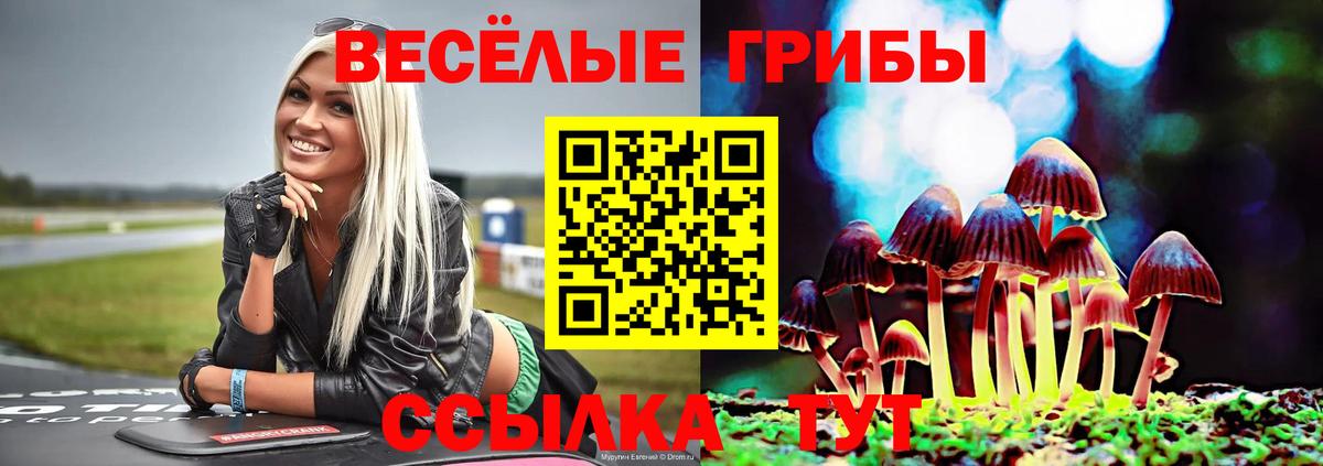 Галлюциногенные грибы прущие грибы  Вход с VPN  Белебей 